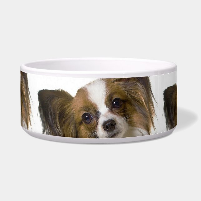 Comedero papillon.png (Frente)