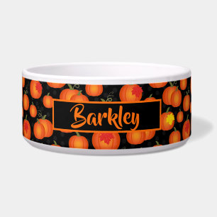Comedero Parche de calabaza