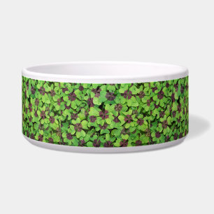 Comedero Parche de cuatro hojas, Sorrel, con Dew