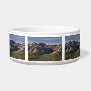 Comedero Parque nacional de Denali