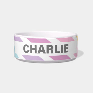 Comedero Pastel Rainbow Personalizado Tazón Cerámico Cerámi