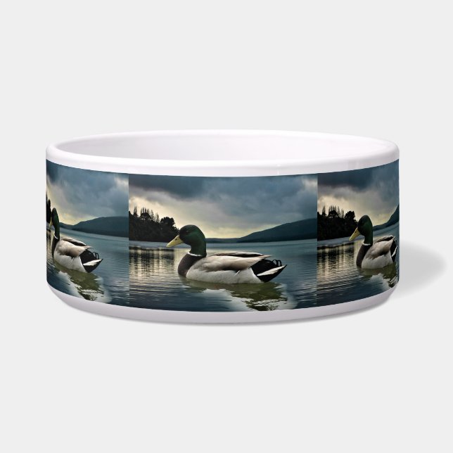 Comedero Pato Mallard En El Lago (Frente)