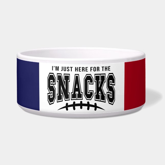 Comedero Patriotas De Nueva Inglaterra Aquí Por El Mascota  (Frente)