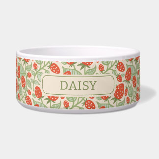 Comedero Patrón de fresa roja y hojas verdes