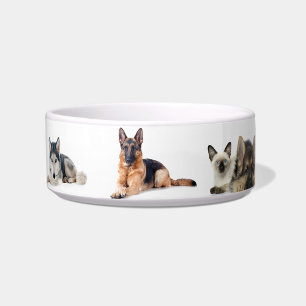 Comedero Patrón de perro