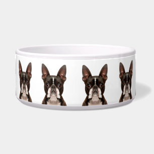 Comedero Patrón de raza de perro Boston Terrier lindo y div