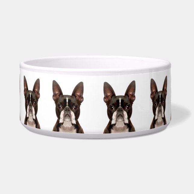 Comedero Patrón de raza de perro Boston Terrier lindo y div (Frente)