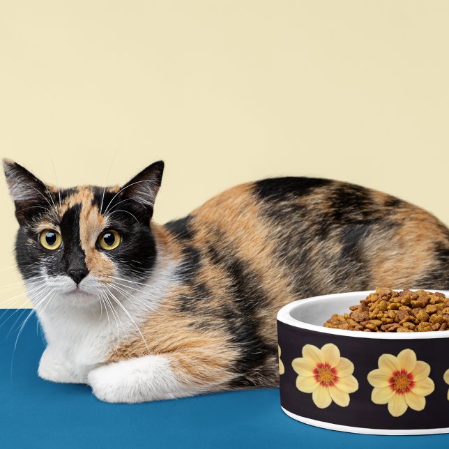 Comedero Patrón floral de Dahlia amarillo en negro (Subido por el creador)