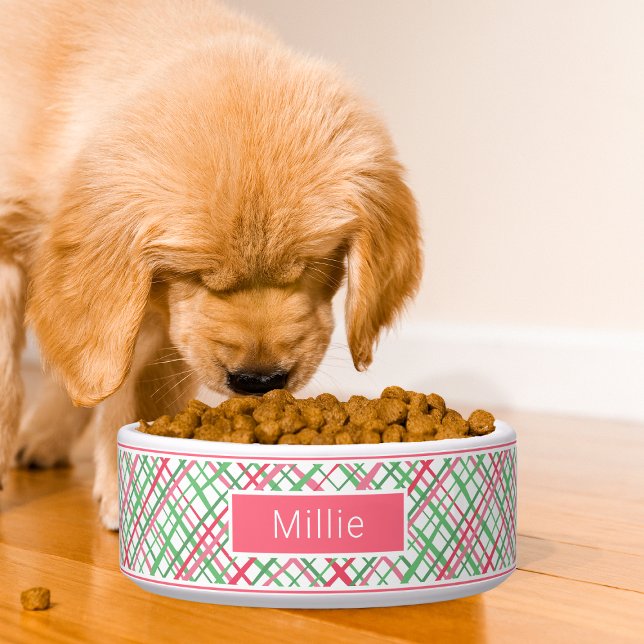 Comedero Patrón geométrico de resumen de prepinillos modern (Subido por el creador)