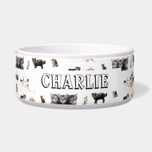 Patrón personalizado con fotos de gatos y gatitos