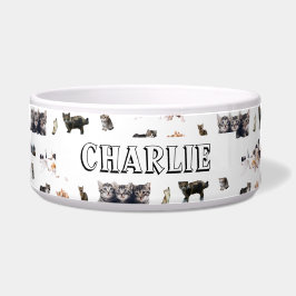 Comedero Patrón personalizado con fotos de gatos y gatitos