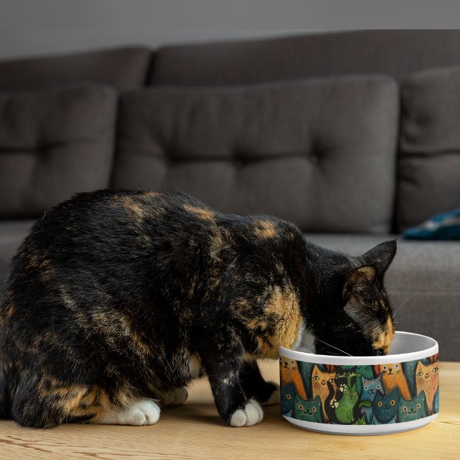 Comedero patrón único de color de gatos de Guay (Cool Cats Colorful Pattern Bowl)