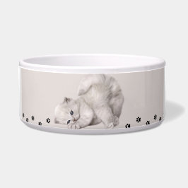 Comedero "Pawyer Bowl"? Gatito🐾✨