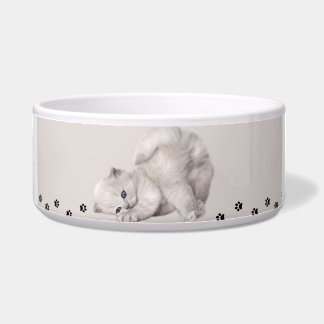 Comedero "Pawyer Bowl"? Gatito🐾✨