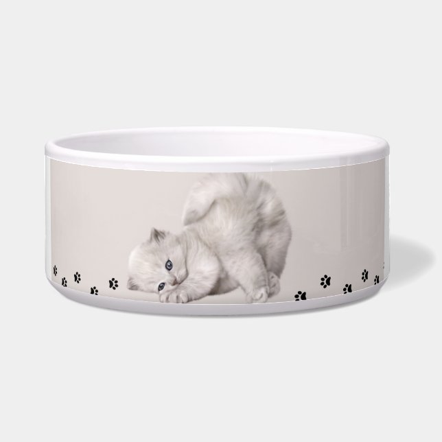 Comedero "Pawyer Bowl"? Gatito🐾✨ (Frente)