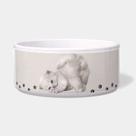 Comedero ¿"Pawyer Bowl"? Kitten 🐾 ✨