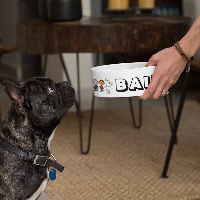 Comedero Peanuts Gang Group Lineup (Subido por el creador)