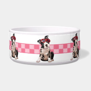 Comedero Perrito de Boston Terrier