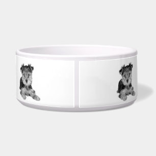 Comedero Perrito del Yorkshire Terrier