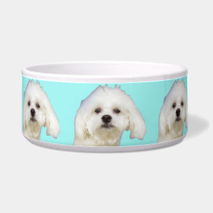 Comedero Perrito maltés del perro blanco