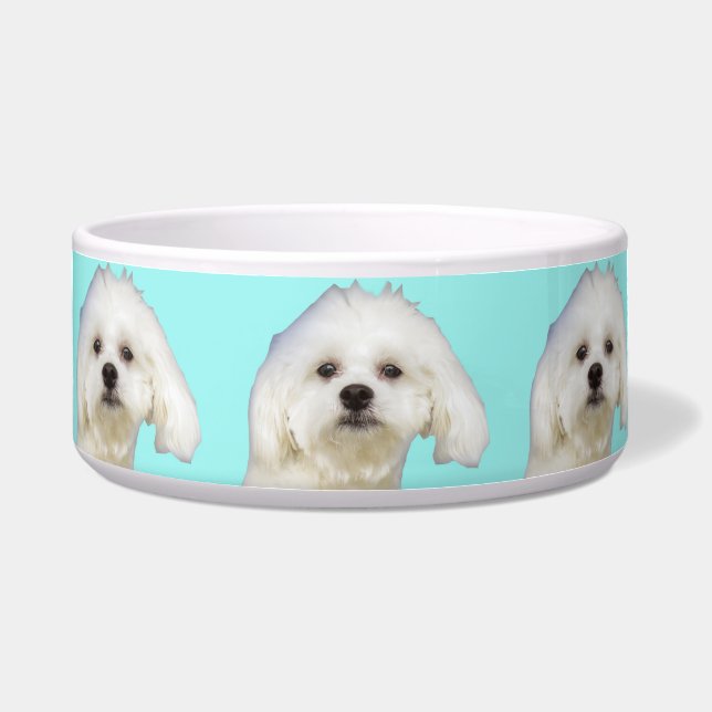 Comedero Perrito maltés del perro blanco (Frente)