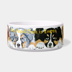Comedero Perritos australianos 4 colores