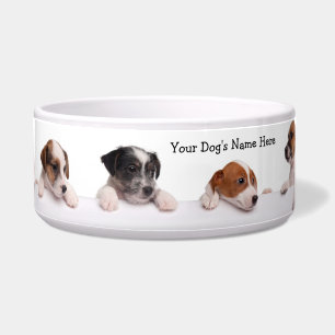 Comedero Perritos lindos de Jack Russell que esperan su
