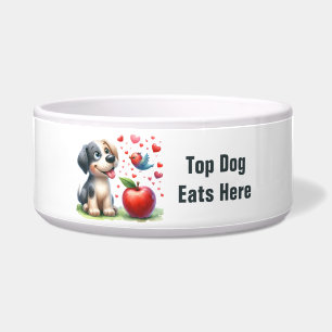 Comedero Perro - Bolos de mascotas grandes