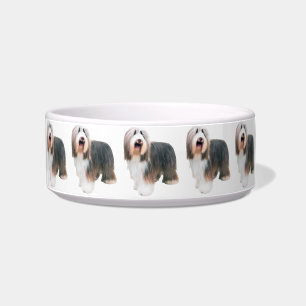 Comedero Perro Collie con barba