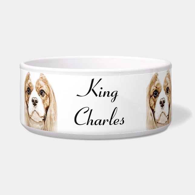 Comedero Perro de aguas de rey Charles arrogante lindo (Frente)