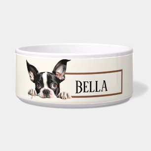 Comedero Perro de Boston Terrier