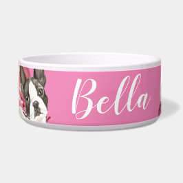 Comedero Perro de Boston Terrier