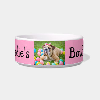 Comedero Perro de encargo personalizado del color de la