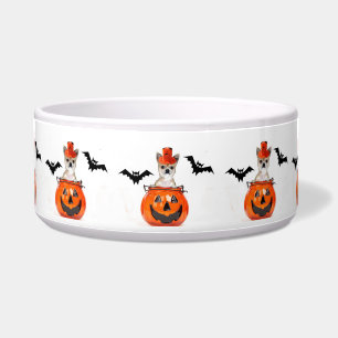 Comedero Perro de la chihuahua de Halloween