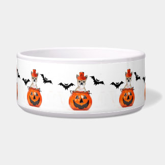 Comedero Perro de la chihuahua de Halloween