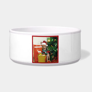 Comedero Perro de la chihuahua del navidad