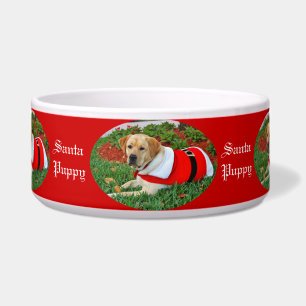 Comedero Perro de perrito de Santa vestido en el rojo para