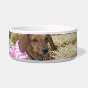 Comedero Perro del Dachshund