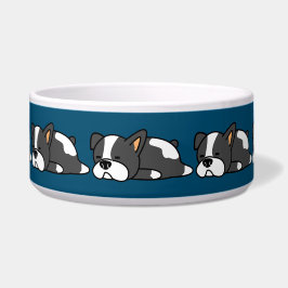 Comedero Perro durmiente