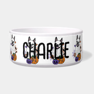 Comedero Perro fantasma de Halloween, Boston Terrier
