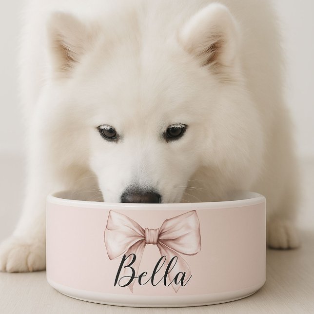 Comedero Perro Gato Arco Rosa & Arco Rubor Personalizado (Pink bow dog bowl )