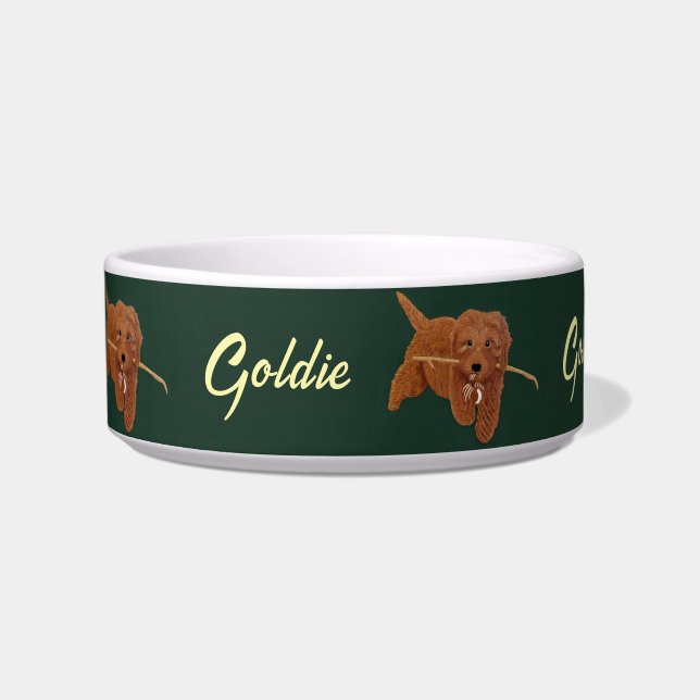 Comedero Perro Goldie Golden Doodle (Frente)