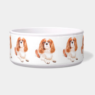 Comedero Perro King Charles Cavalier Spaniel