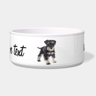 Comedero Perro Schnauzer en miniatura de una cachorro demas