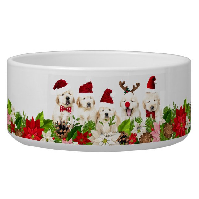 Comedero Perros navidades (Christmas Red Hats Doggie Bowl!)