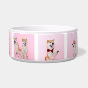 Comedero Personaliza tu propia foto de 8 fotos