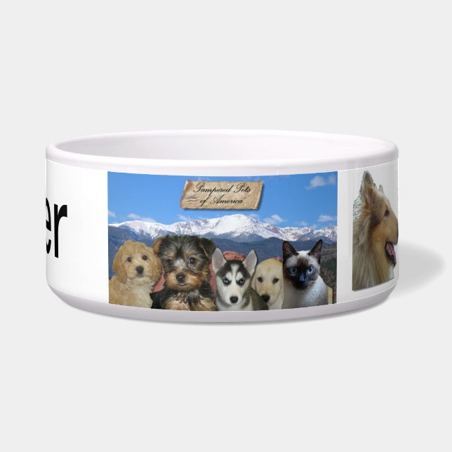 Comedero Personalizable (Frente)