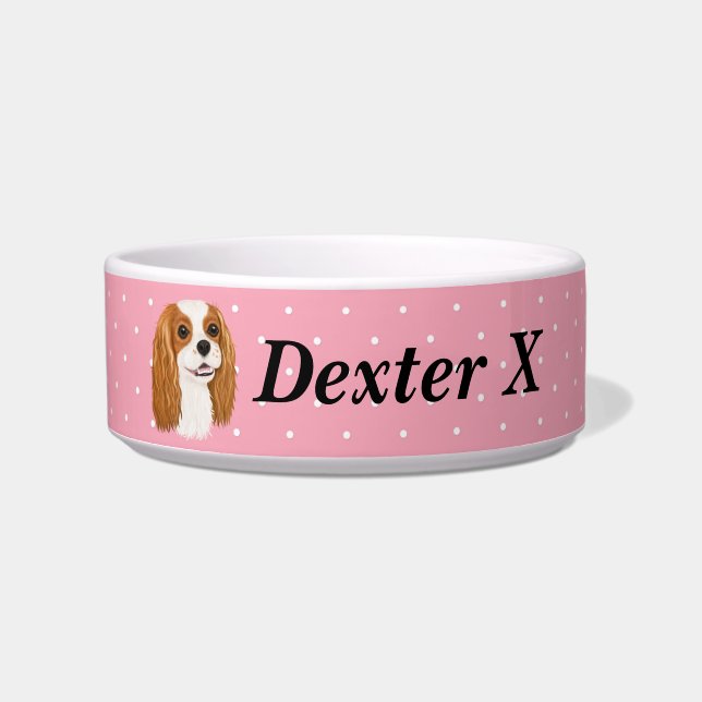 Comedero Personalizado Cavalier King Charles Spaniel     (Frente)