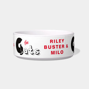 Comedero Personalizado de gato bonito