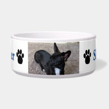Personalizado Dog Foto Nombre Paw Impresiones Azul